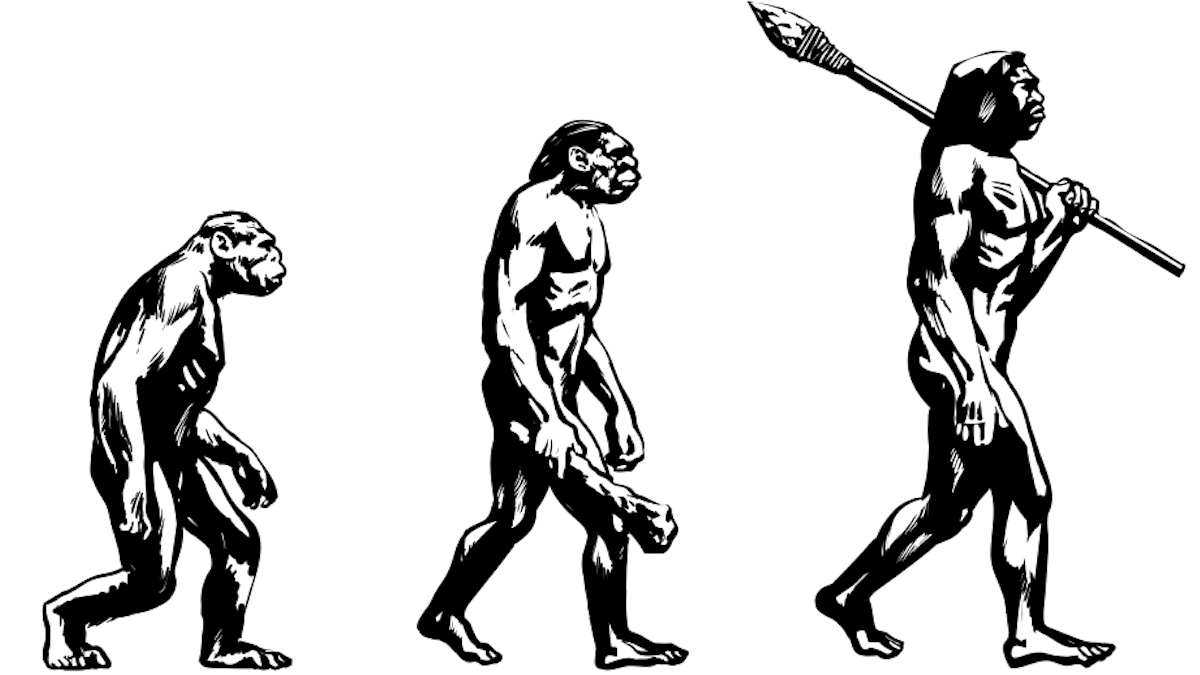Si la evolución no avanza en línea recta, ¿por qué dibujarla de esa manera?