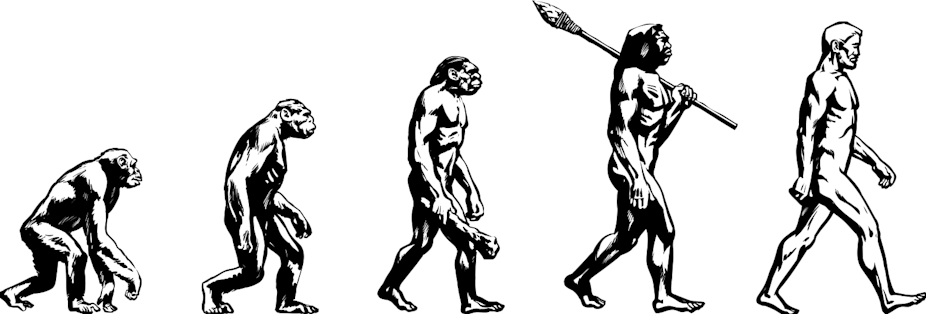 Si la evolución no avanza en línea recta, ¿por qué dibujarla de esa manera?