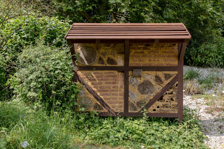 B Bs for birds and bees: transform your garden or balcony into a wildlife haven