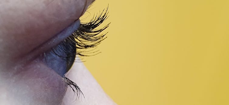 why are our top eyelashes longer than our bottom eyelashes?