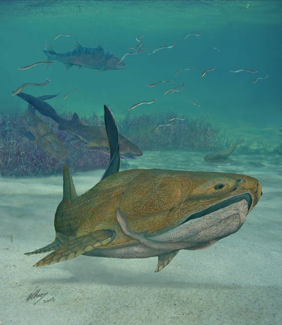 Какими были первые рыбы. Entelognathus primordialis. Хрящевые рыбы Палеозойская Эра. Панцирные рыбы Силур. Челюстноротые рыбы Силур.