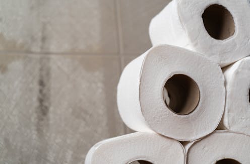 A toilet paper run is like a bank run. The economic fixes are about the same