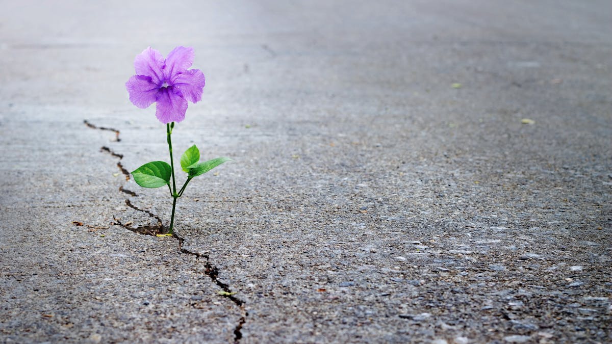 How hope can keep you healthier and happier