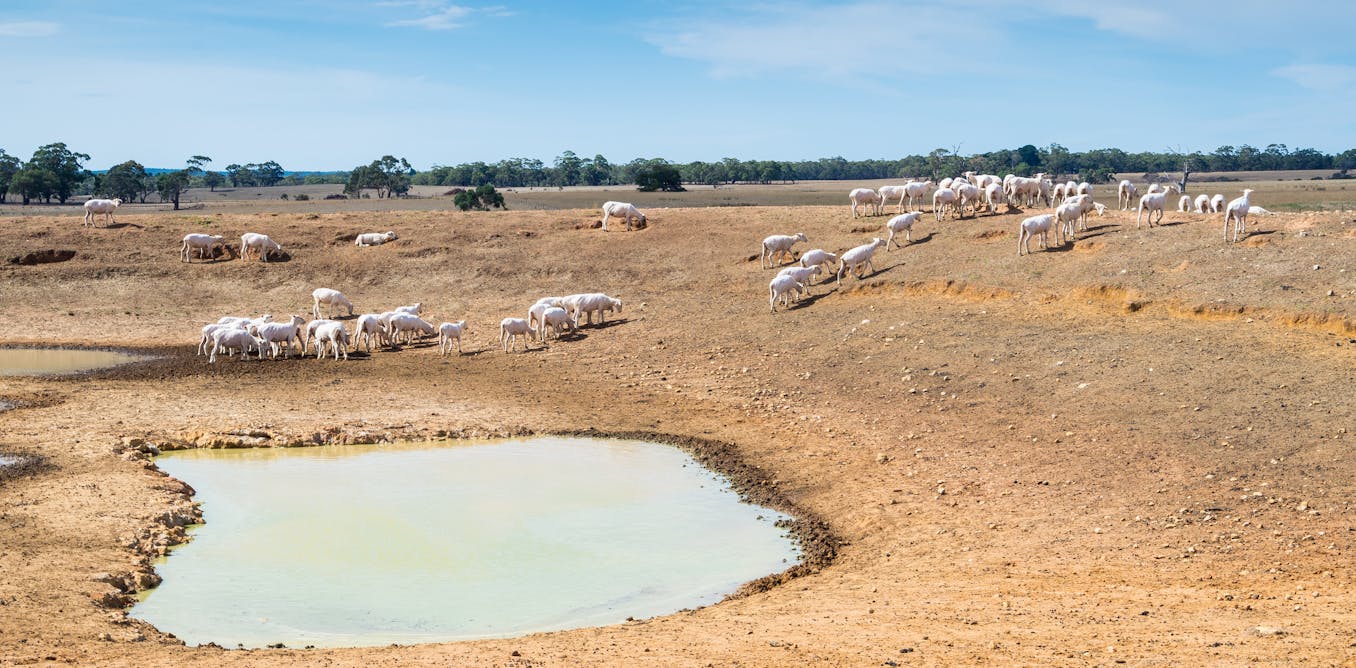 A rare natural phenomenon brings severe drought to Australia. Climate change is making it more common - The Conversation AU