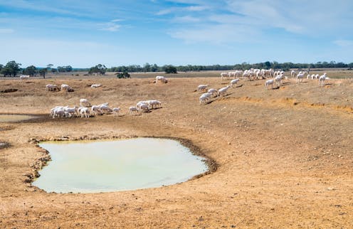 A Rare Natural Phenomenon Brings Severe Drought To Australia Climate Change Is Making It More Common