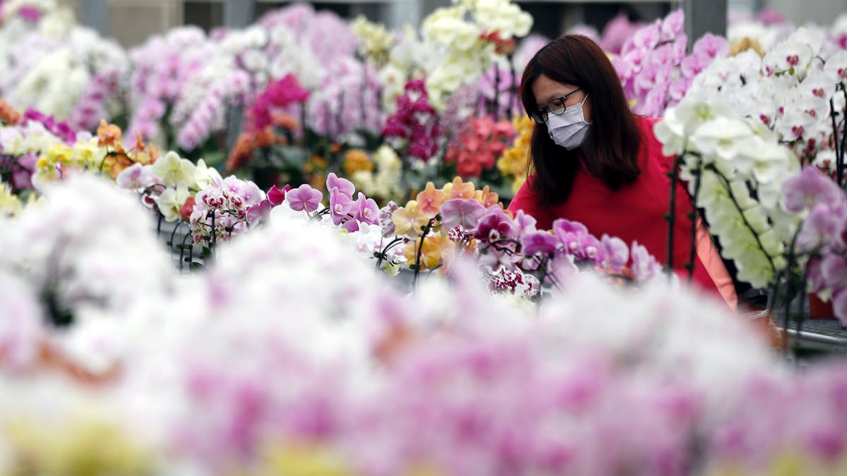 Coronavirus Should Give Us Hope That We Are Able To Tackle The Climate Crisis