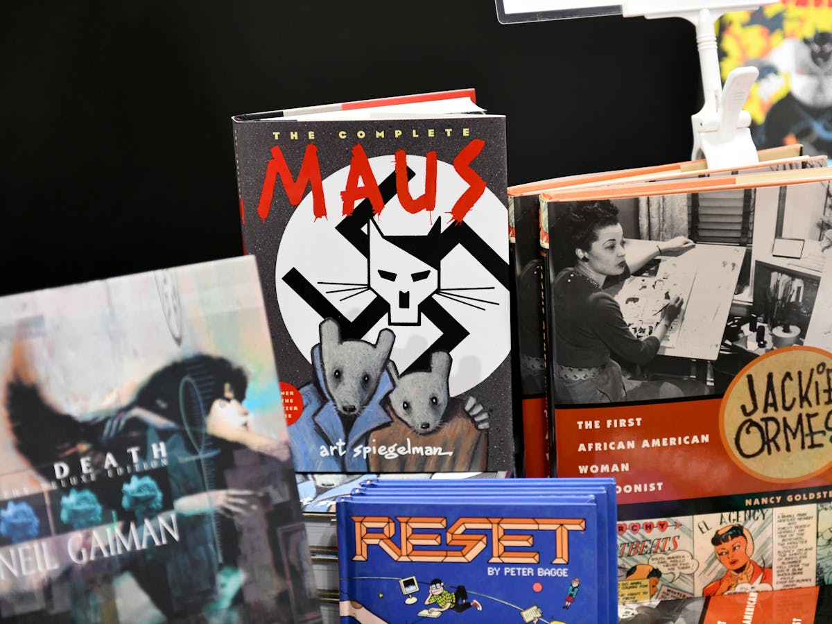 Featured image of post Best Graphic Novels For Tweens - Choosing the best graphic novels isn't an easy decision.