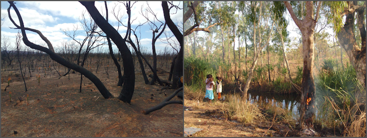 Not all blackened landscapes are bad. We must learn to love the right kind