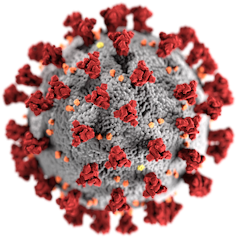 Coronavirus: a new type of vaccine using RNA could help defeat COVID-19