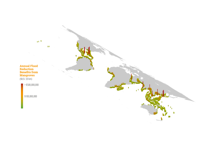 Protecting mangroves can prevent billions of dollars in global flooding damage every year