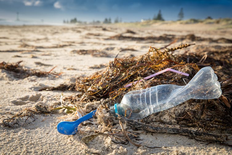 For decades, scientists puzzled over the plastic 'missing' from our oceans – but now it's been found