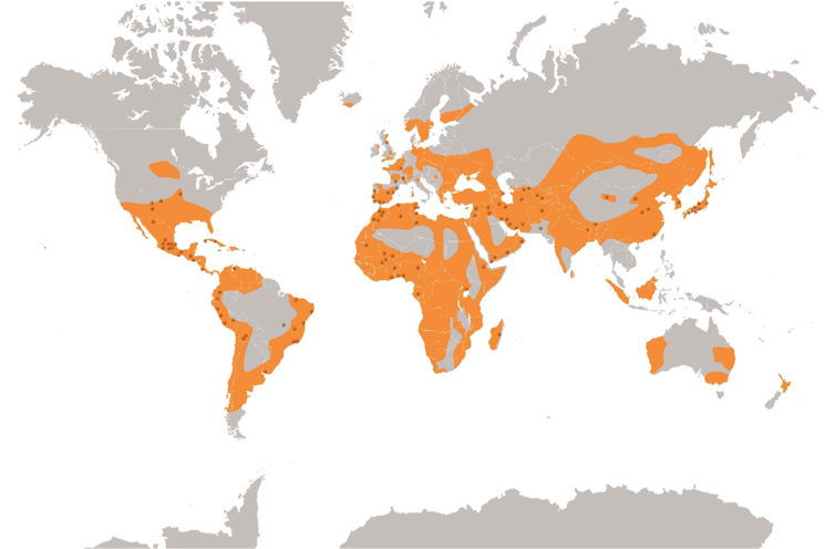 En orange, les régions de répartition des constructions en terre crue. Les points indiquent les principaux sites architecturaux inscrits au patrimoine mondial de l’Unesco. Source : Craterre.