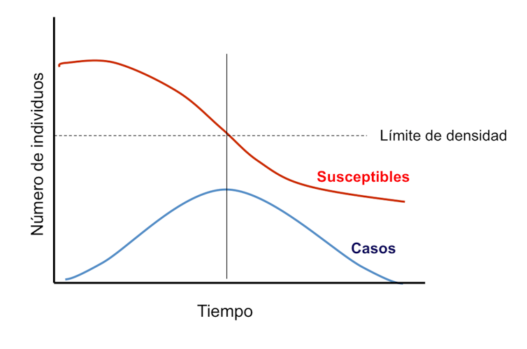 file-20200312-111232-aajnhx.png?ixlib=rb-1.1.0&q=45&auto=format&w=754&fit=clip