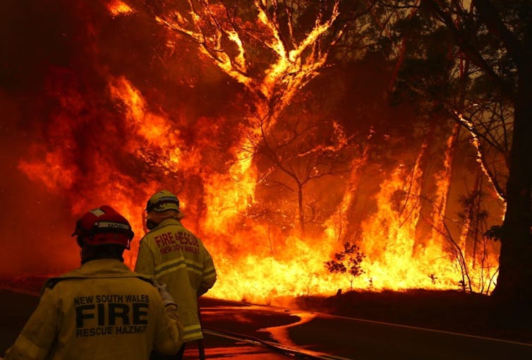I've spent 14 years on bushfire front lines and seen courage in the face of death