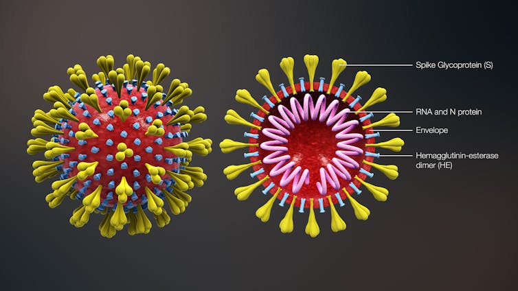 The 'herd immunity' route to fighting coronavirus is unethical and potentially dangerous