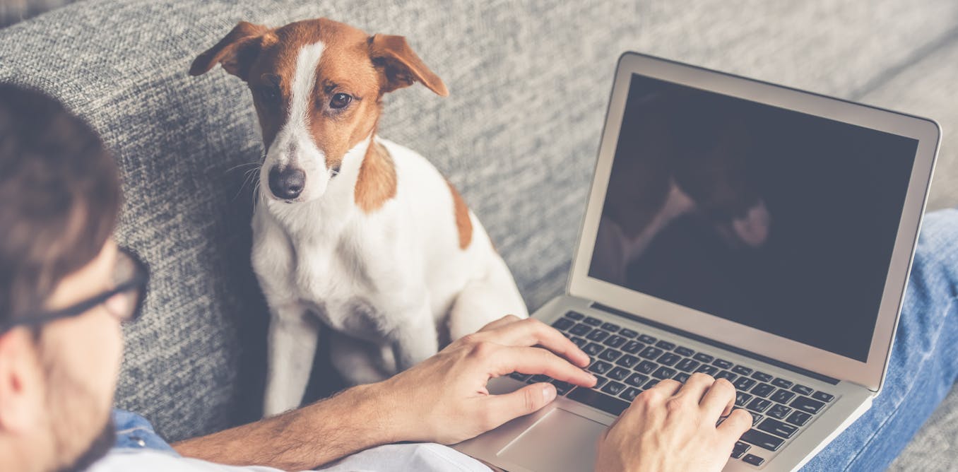 Working From Home The Uk S Broadband And Wifi Will Be Put To The Test