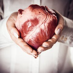 research articles about organ donation