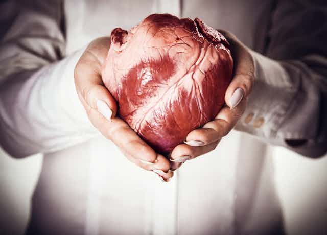 Photograph of two manicured hands holding a heart