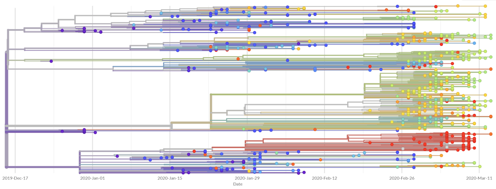 Here S How Scientists Are Tracking The Genetic Evolution Of Covid 19