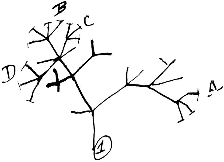 Here's how scientists are tracking the genetic evolution of COVID-19