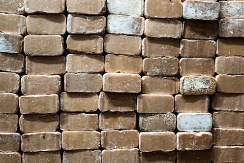 En 1817, la Real Imprenta de Madrid publicó la Memoria sobre las plantas barrilleras de España, del eminente botánico y médico Mariano Lagasca. Esta obra, doscientos años después, sigue siendo de obligada referencia en lo que respecta a aquellas plantas que, al quemarlas, producen “barrilla”: cenizas ricas en sosa.