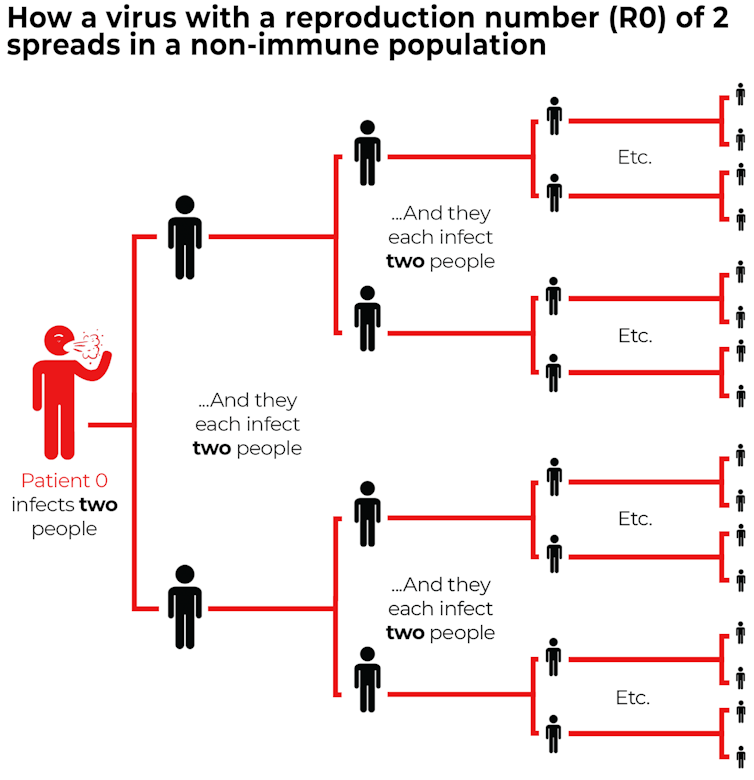 Coronavirus modelling shows the government is getting the balance right