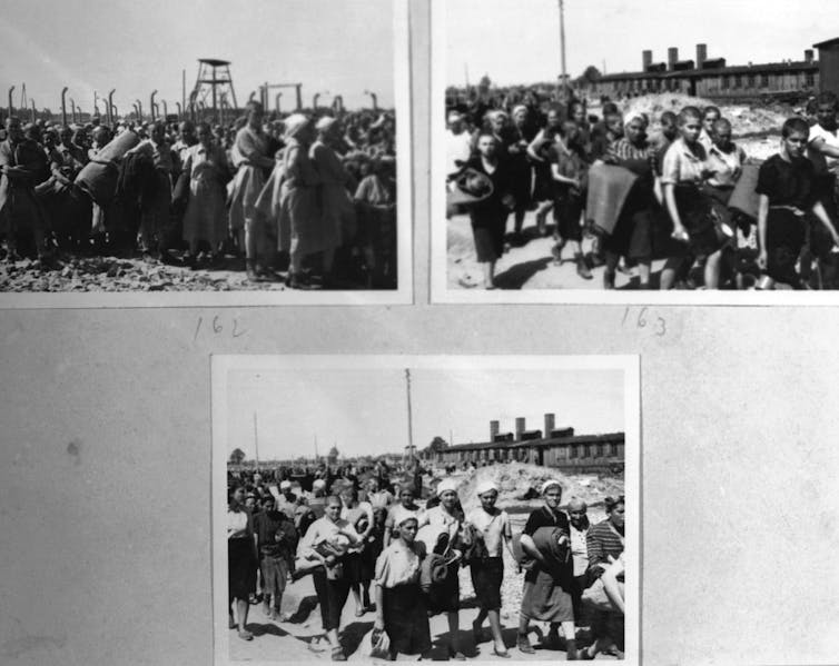 Auschwitz: Women used different survival and sabotage strategies than men at Nazi death camp