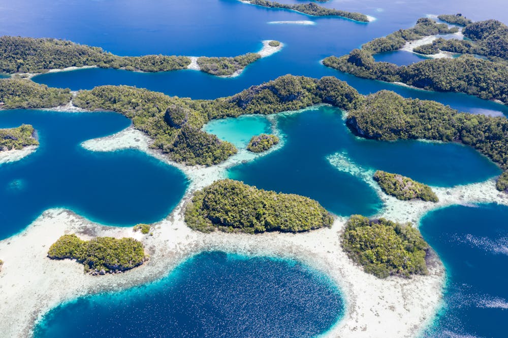 Why marine protected areas are often not where they should be – Simone