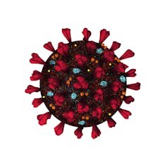 Representation of coronoavirus