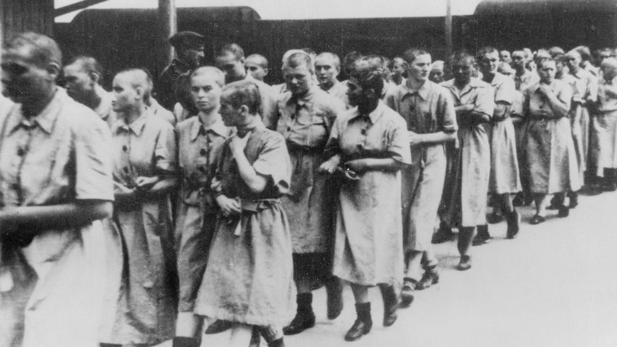 Auschwitz Women Used Different Survival And Sabotage Strategies Than Men At Nazi Death Camp