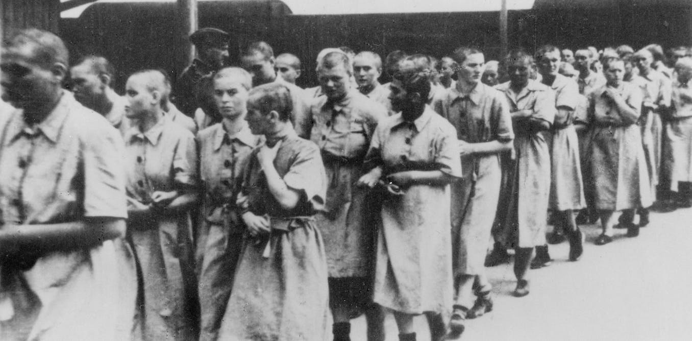 Auschwitz: Women used different survival and sabotage strategies than men at Nazi death camp
