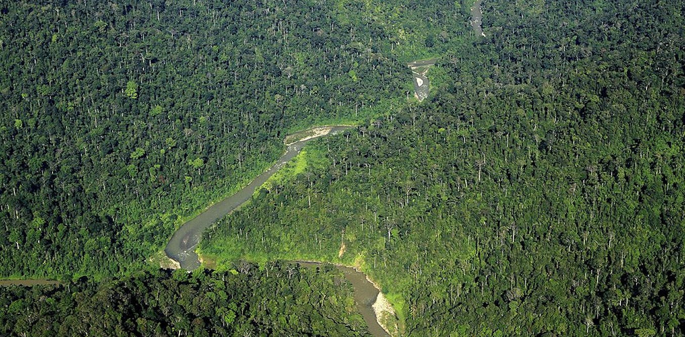 Mengapa Usaha Hutan Konservasi Di Indonesia Masih Belum Optimal Mengapa Usaha Hutan Konservasi Di Indonesia Masih Belum Optimal