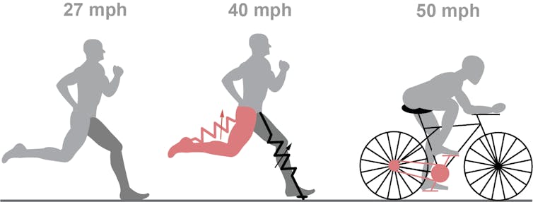 How Fast Can Humans Run? And How to Be a Faster Runner
