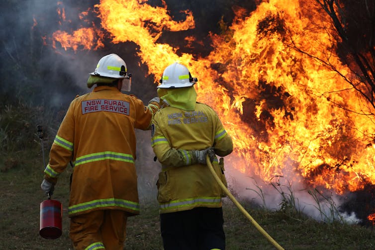 A major scorecard gives the health of Australia's environment less than 1 out of 10