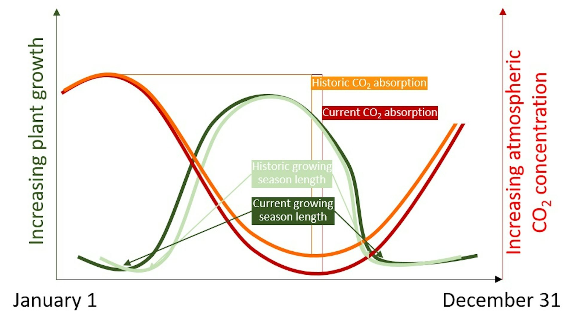 Longer Growing Seasons Have A Limited Effect On Combating Climate Change