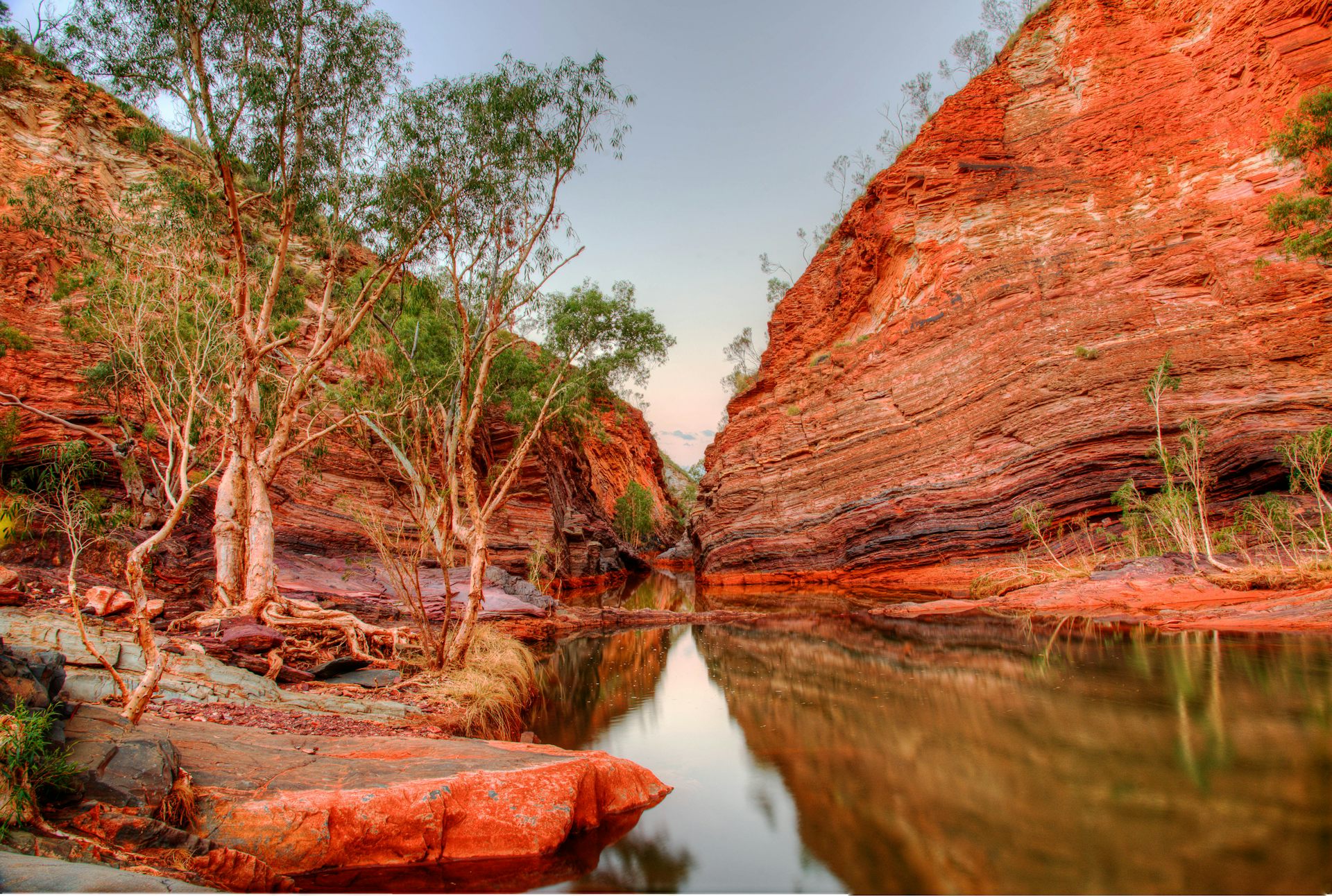 Australia national parks. Парк какаду в австралии. Парк какаду в австралии. Национальный парк какаду юнеско. Australia national parks.