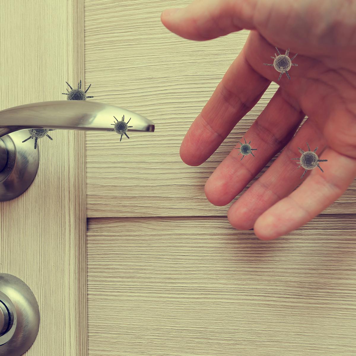 El coronavirus SARS-CoV-2 también se transmite a través de objetos