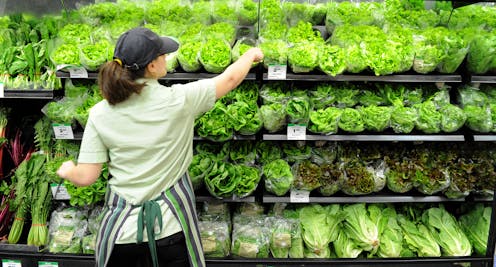 Why closing our borders to foreign workers could see fruit and vegetable prices spike