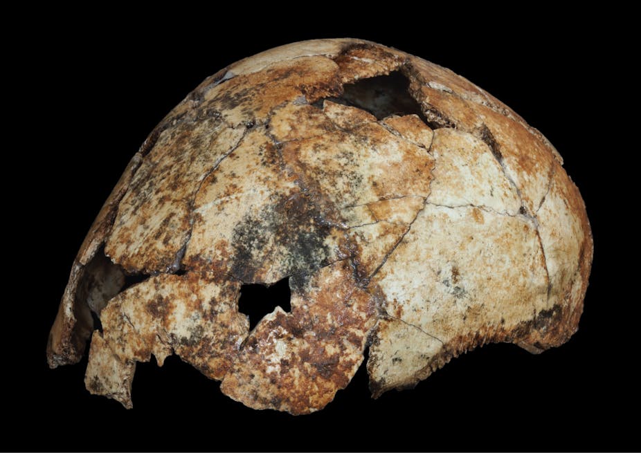Fossil Find Suggests Homo Erectus Emerged 200 000 Years Earlier