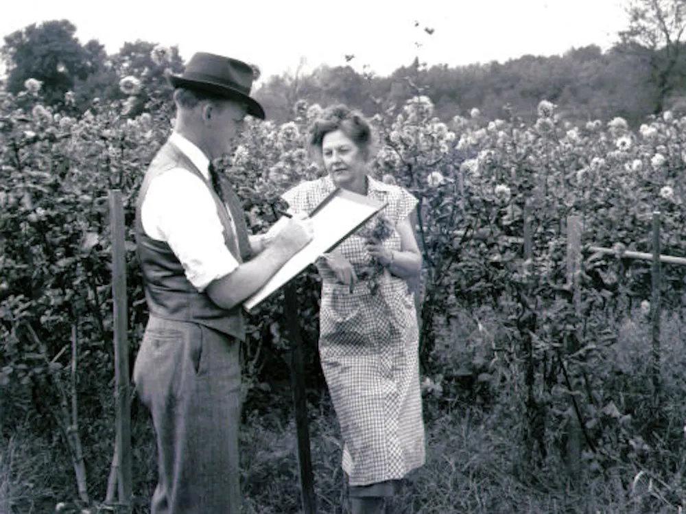 The US census has its flaws – but so has every attempt to count people ...