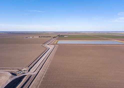 While towns run dry, cotton extracts 5 Sydney Harbours' worth of Murray Darling water a year. It's time to reset the balance