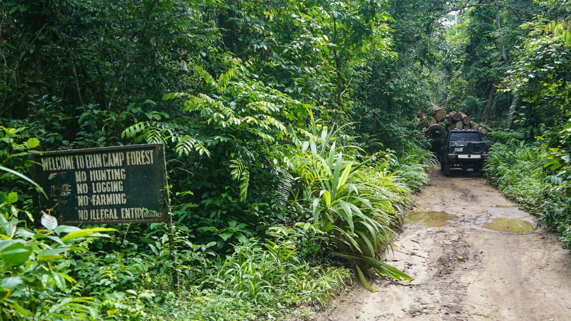 Nigeria’s Nature Reserves Need More Help to Protect Biodiversity