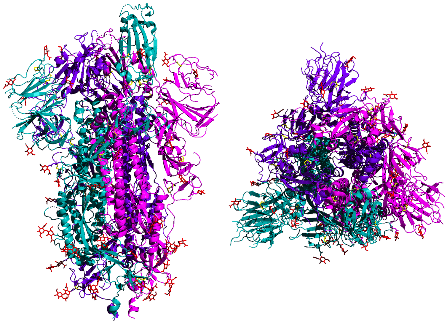 This Could Kill You Why the Coronavirus Is so Deadly The National Interest This Could Kill You Why the Coronavirus Is so Deadly The National Interest