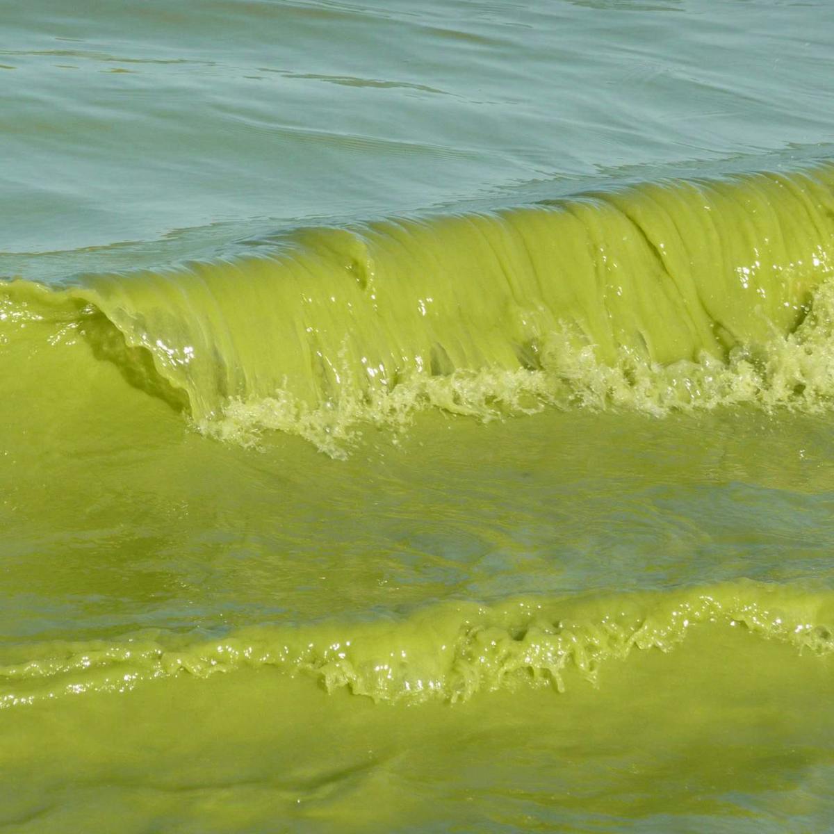 Climate Change Threatens Drinking Water Quality Across The Great Lakes Climate Change Threatens Drinking Water Quality Across The Great Lakes