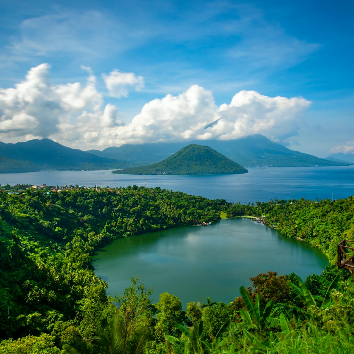 Bagaimana Perubahan Iklim Pengaruhi Pola Perburuan Manusia Prasejarah Di Indonesia