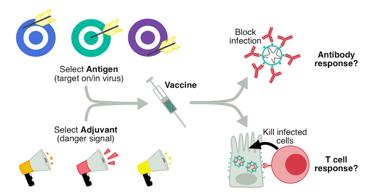 Where are we at with developing a vaccine for coronavirus?