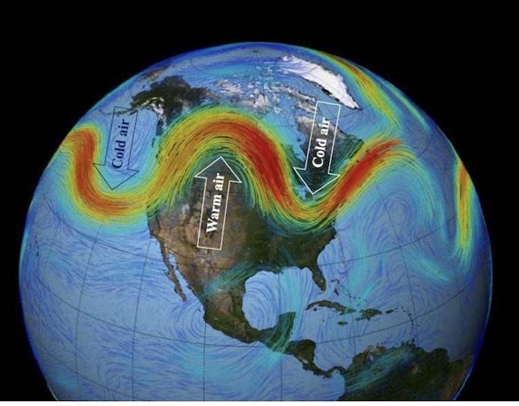 While we fixate on coronavirus, Earth is hurtling towards a catastrophe worse than the dinosaur extinction