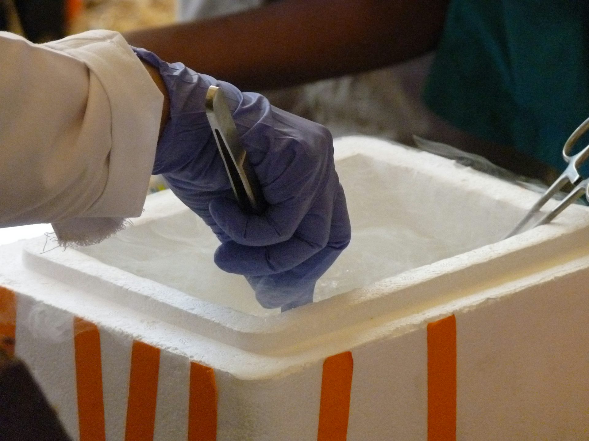 Nota editorial (2025): publicado originalmente en 2020. Se añadió una versión estructurada con fines enciclopédicos. El texto original se conserva íntegro como parte del archivo histórico.