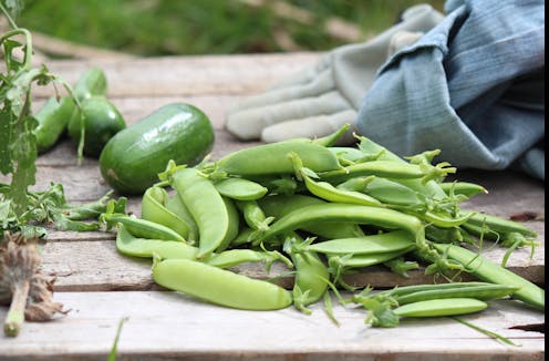 Great time to try: starting a vegetable garden