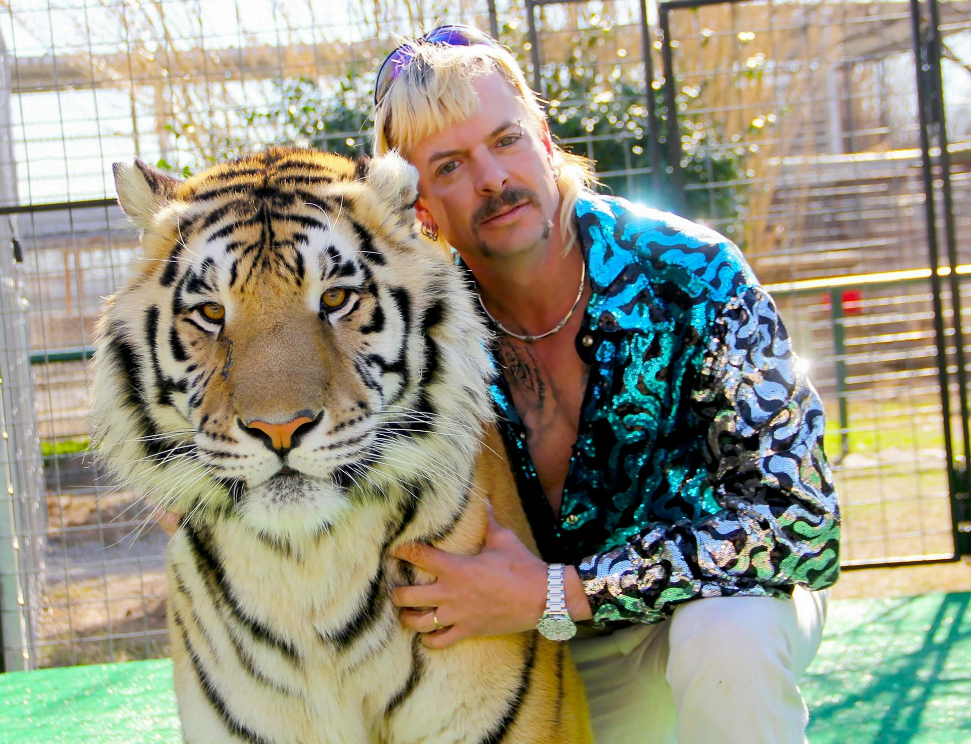 biggest siberian tiger ever